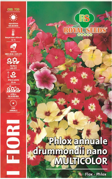 Phlox Harmonia Mix - Royal Seed RYMF323/50 Garden Plus