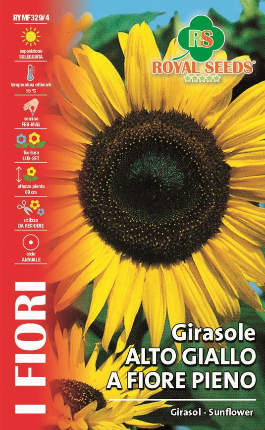 Girasol Sunflower Royal Seed RYMA329/4 Garden Plus