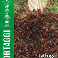 Lettuce Cutting Red Salad Bowl - Royal Seed RYMO78/25 - COD.220 Garden Plus