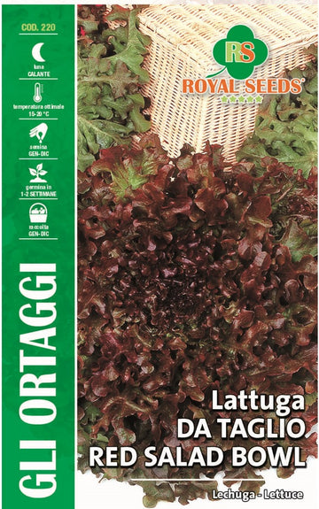 Lettuce Cutting Red Salad Bowl - Royal Seed RYMO78/25 - COD.220