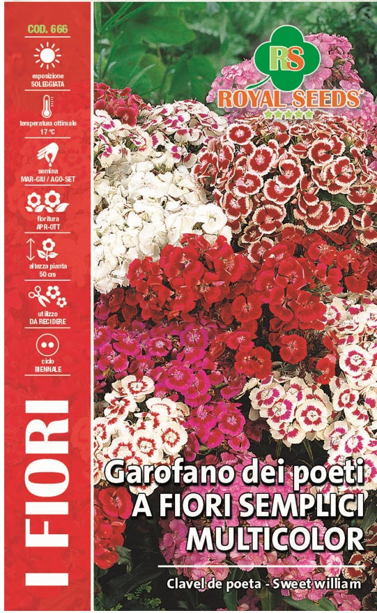 “DEI POETI” Color Parade Mix - Sweet Williams - Royal Seed RYMF325/7