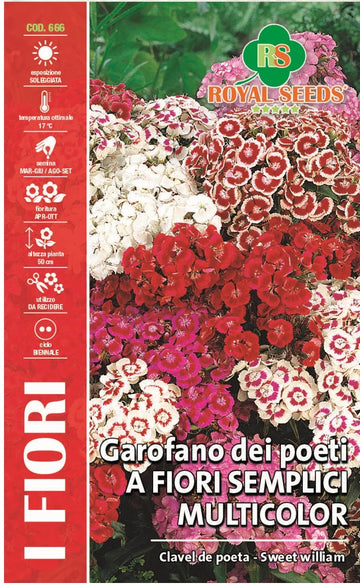 “DEI POETI” Color Parade Mix - Sweet Williams - Royal Seed RYMF325/7