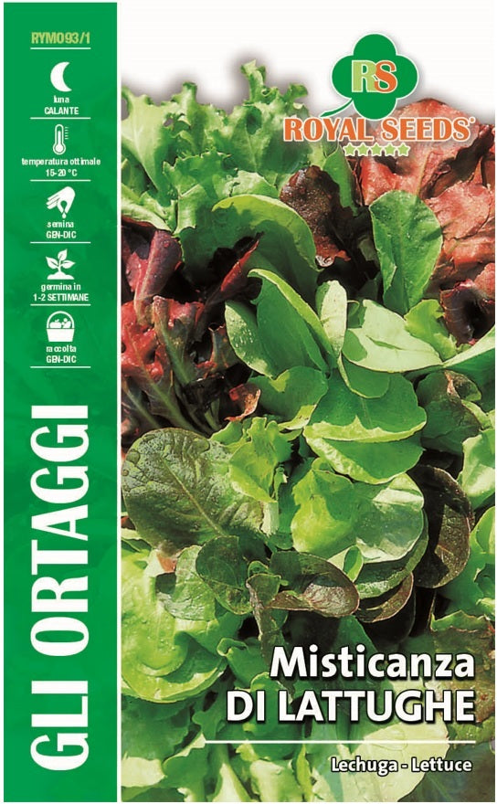 Leghuga Lettuce - Royal Seed RYMO93/1 Garden Plus