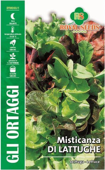 Leghuga Lettuce  - Royal Seed RYMO93/1
