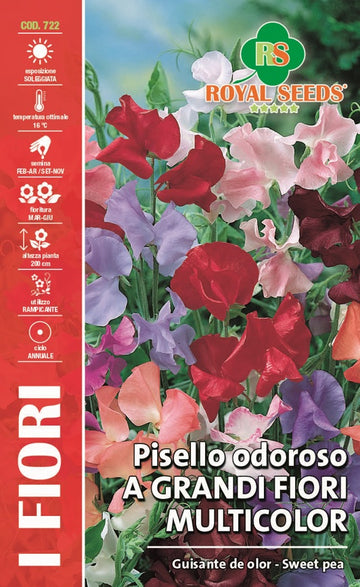 Guisante de Olor - Sweet Pea - Royal Seed RYMA344/1