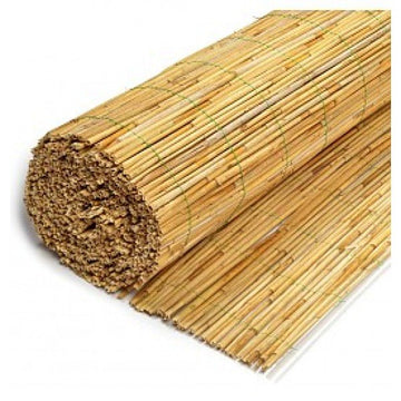 Reed fence Garden Plus