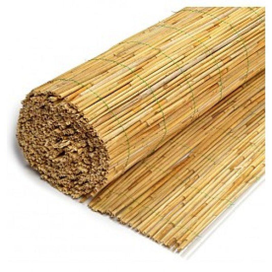 Reed fence 2.jpg