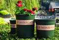 Monrovia Plastic Pot Garden Plus
