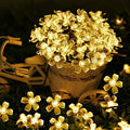 Solar Fairy Blossom Flower Light Garden Plus