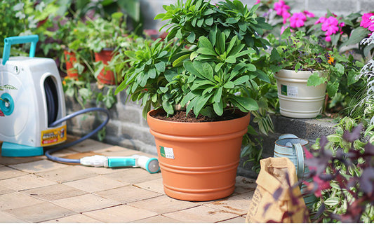 Large pot 3.jpg