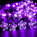 Solar Fairy Blossom Flower Light Garden Plus