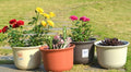 High-quality PRM flower pot – round style Garden Plus