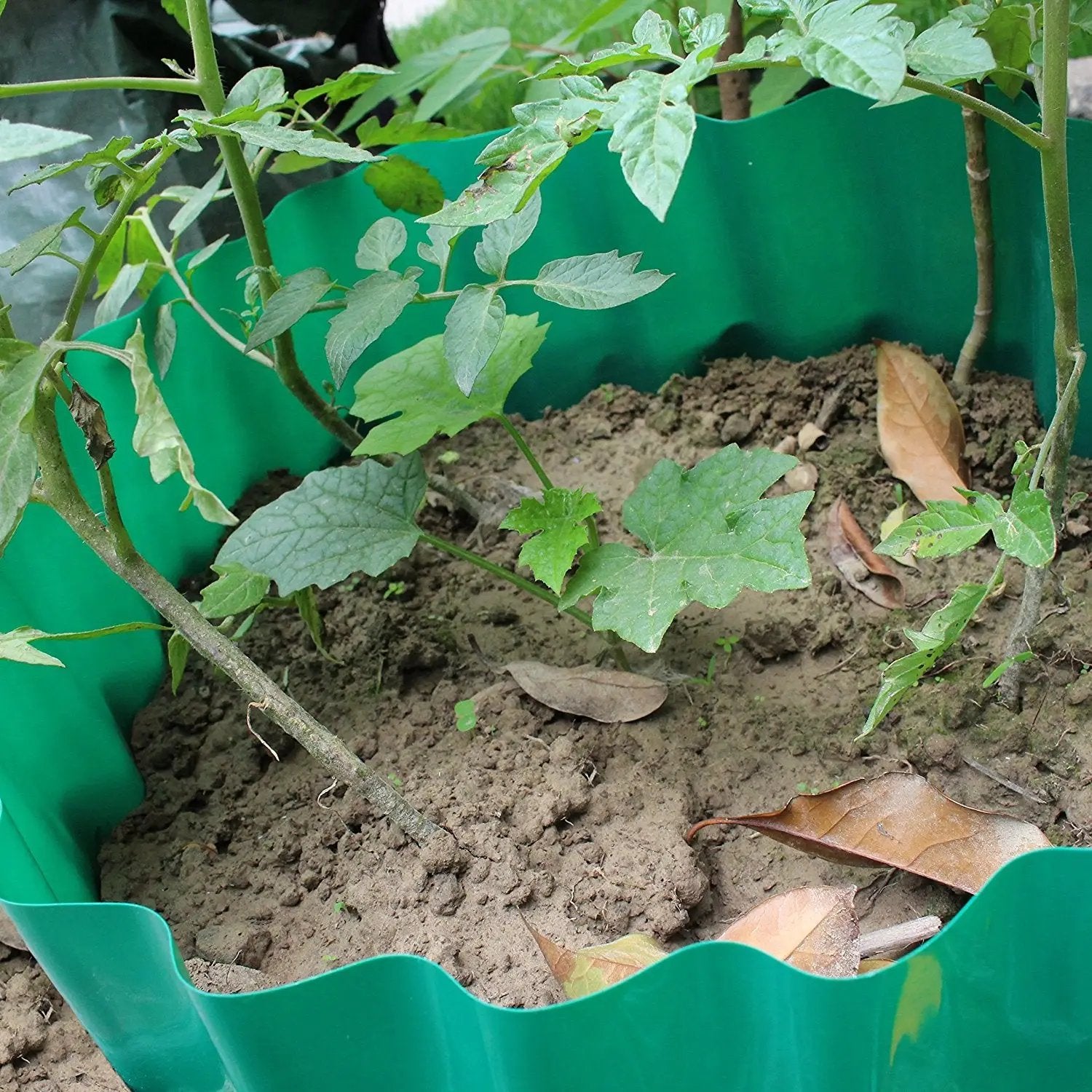 Lawn Edging Garden Plus