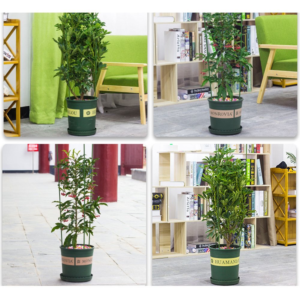 Adjustable Plant Support Cage – 60 cm / 120 cm