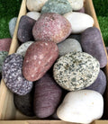 Mixed beach pebbles Garden Plus