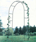 Metal Army Green Wedding Garden Arch Garden Plus