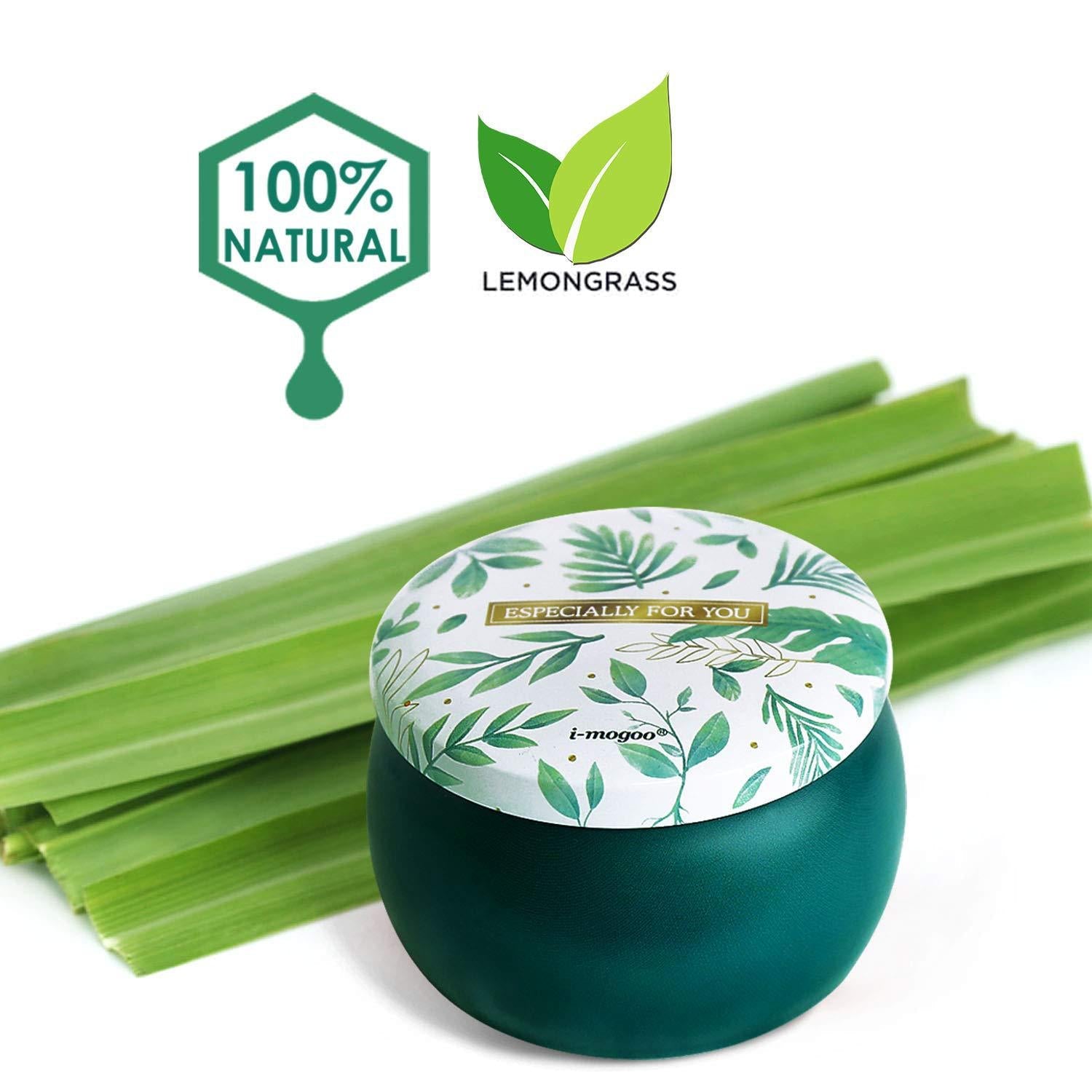 Lake Green Citronella Candles Garden Plus