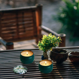 Lake Green Citronella Candles Garden Plus