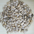 Sand pebbles Garden Plus