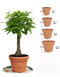 High-quality PRM flower pot – large style Garden Plus