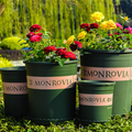 Monrovia Plastic Pot Garden Plus