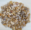 River sandstone pebbles Garden Plus