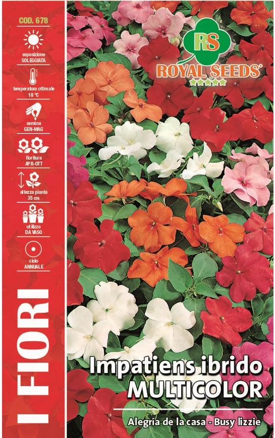 Impatiens Ibrido Multicolor - Busy Lizzle - Royal Seed RYMA332/1 Garden Plus