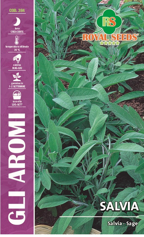 Sage - Royal seed RMYA119/1 - COD.384 Garden Plus
