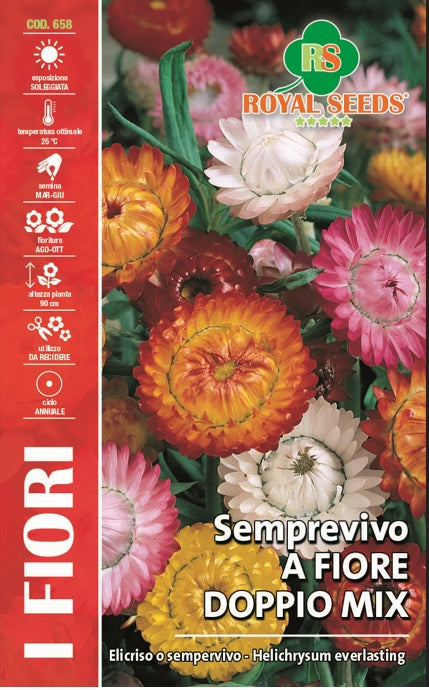 Helichrysum Everlasting - Royal Seed RYMF318/1 - COD.658 Garden Plus