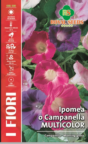 Morning glory - Ipomea Multi-colour RYMF333/1 - 680 Garden Plus