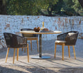 Wood Rattan Chair and Table Combination Garden Plus