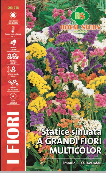 Sea Laverder Mix - Limonio- Royal Seed RYMF352/1