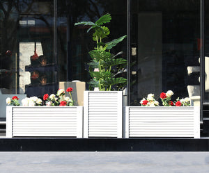 Rectangular Horizontal Planting Box Garden Plus