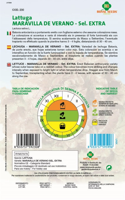 Lettuce - Maravilla De Verano Royal Seed RYMO79/79