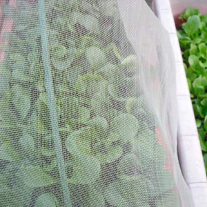 Insect Net Garden Plus