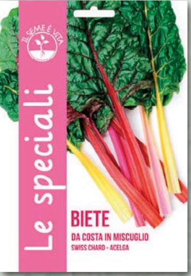 Swiss Chard - Acelga Leben Seed Special / SNUN14/17 Garden Plus