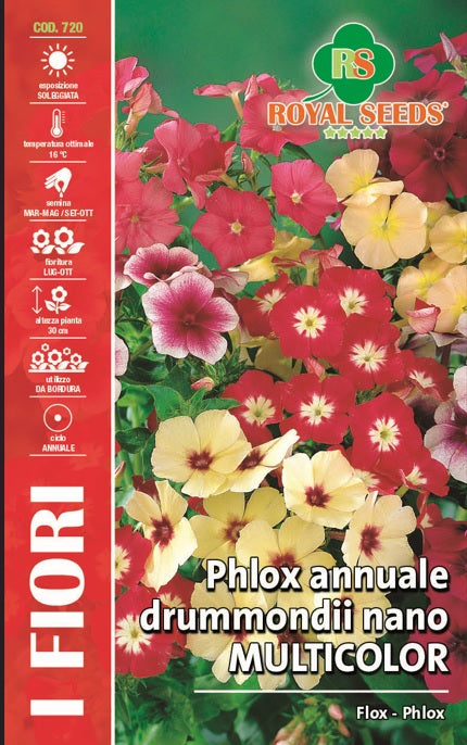 Phlox Multicolour - Royal Seed RYMF323/50 Garden Plus