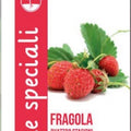 Strawberry Fresa - Leben Seed Special SNUN63/1 - COD.638 Garden Plus
