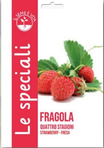 Strawberry Fresa - Leben Seed Special SNUN63/1 - COD.638 Garden Plus