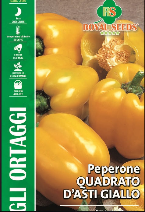 Pimiento - Yellow Pepper - Royal Seed RYMO97/1 - COD.308 Garden Plus