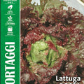 Lettuce Rosso di Trento- Royal Seed RYMO86/33 - COD.247 Garden Plus