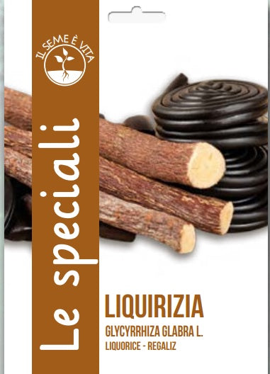 Liquorice - Regaliz Leben Seed Special / SNUN14/17 Garden Plus