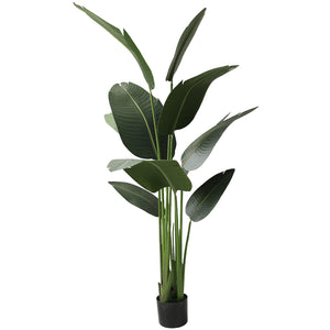 Simulation Bird of Paradise Leaf Decoration Pieces Garden Plus