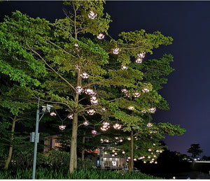 Solar Fireworks Hanging Light Garden Plus