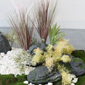 Reed Green Bristlegrass Landscape Decoration Piece Garden Plus