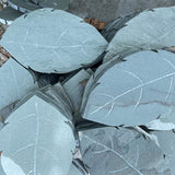 Leaves Non-Slip Stepping Stone Garden Plus