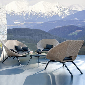 Rattan Sofa Couch Set