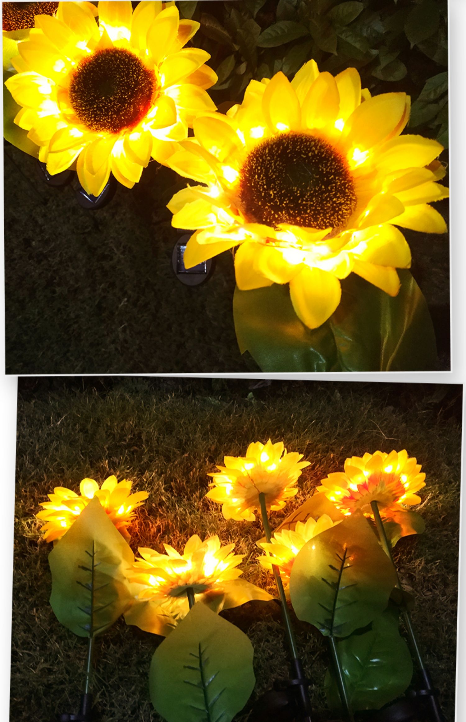 Solar Sunflower Light Garden Plus