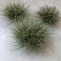Papyrus Ball Artificial Grass decoration piece Garden Plus