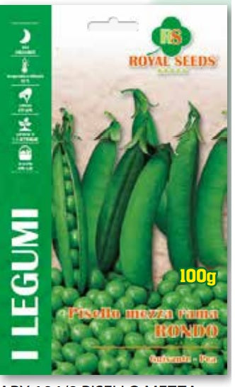 Green pea - Rondo Semi Vining Variety - Royal Seed ARY 104/9